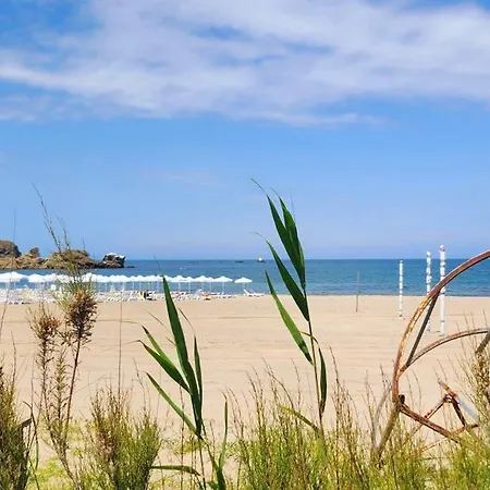 стела в к-с реджина маре *